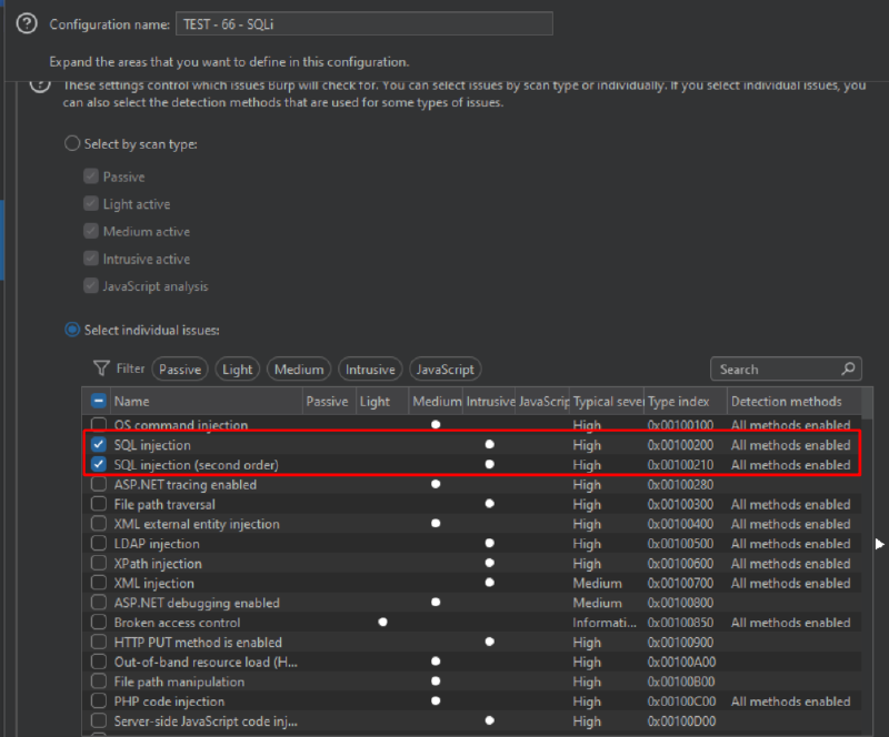 Figure 4: Manual selection of Custom Scan Issue Items 